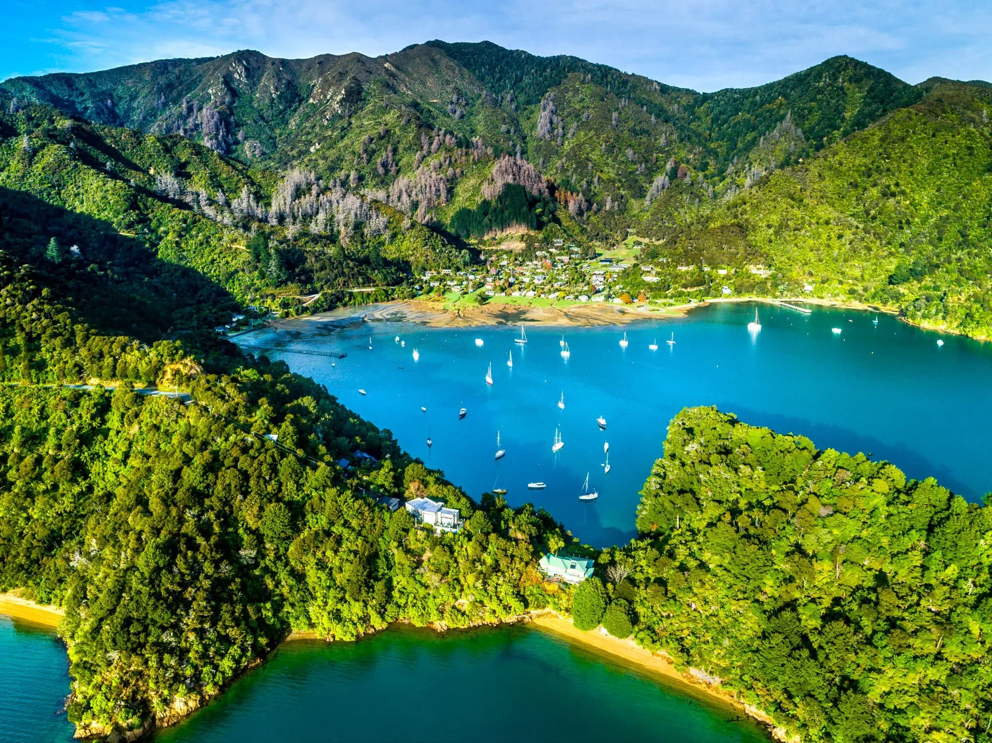 Marlborough Sounds | New Zealand 