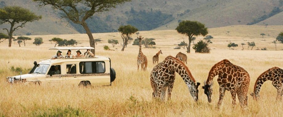 africa safari