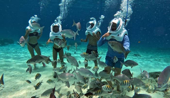 cozumel shore excursion, cruise trip 