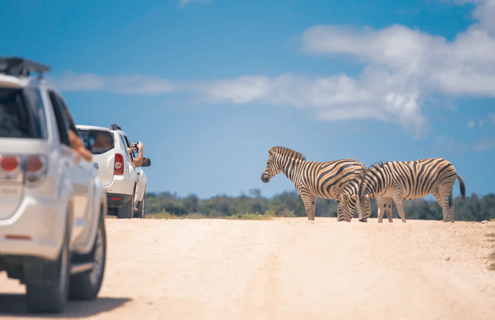 Port Elizabeth , south africa