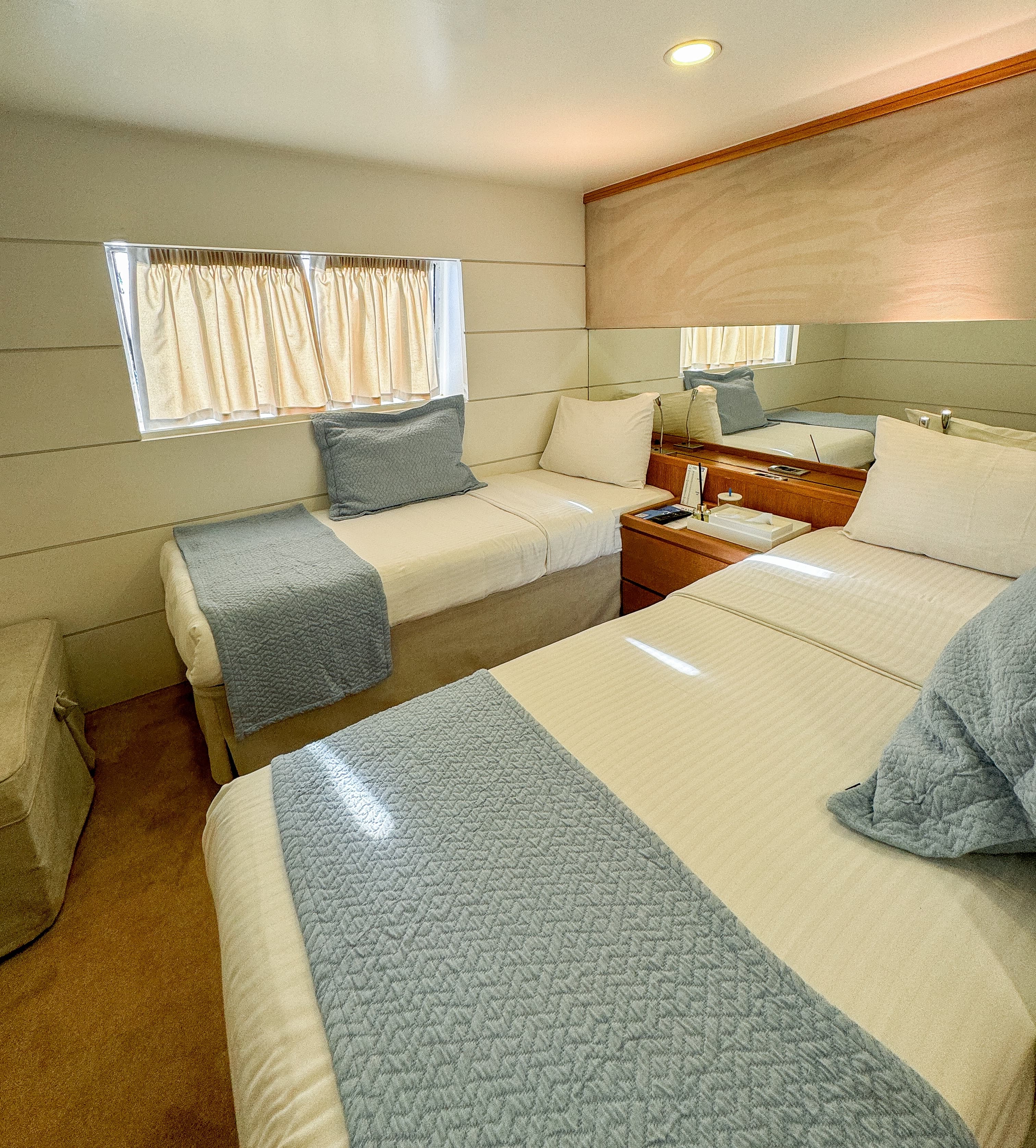 Category P Harmony G 