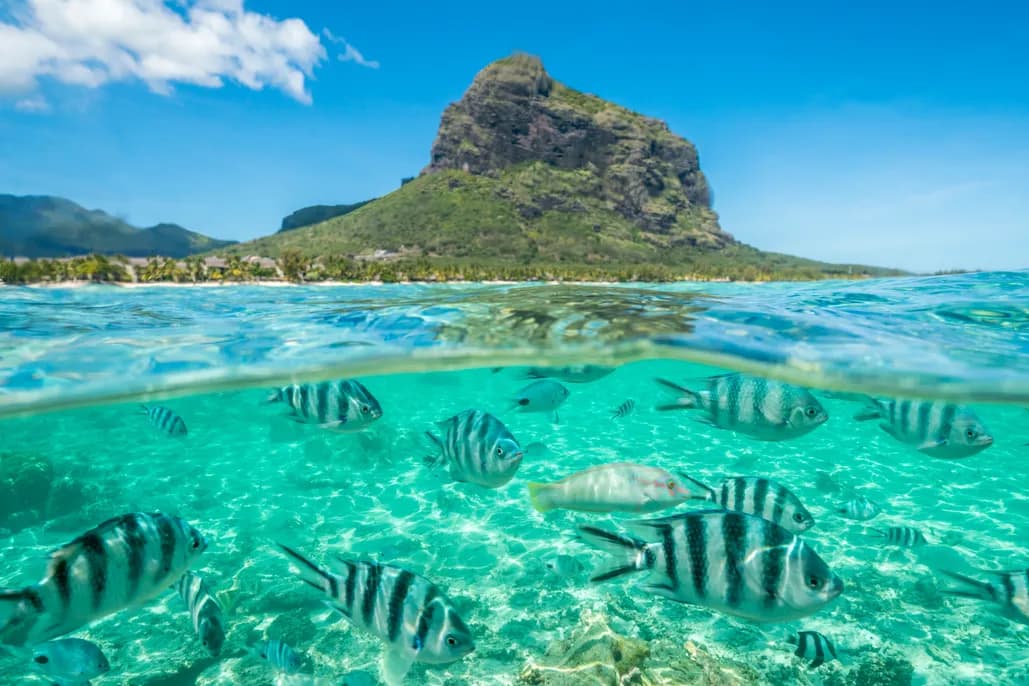 Mauritius for Cruise Travellers