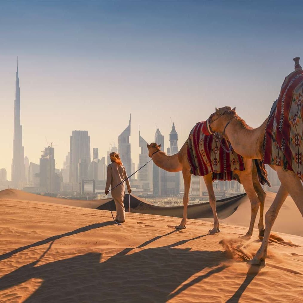 Cruise & Stay : Abu Dhabi + 7-Night Arabian Gulf Cruise