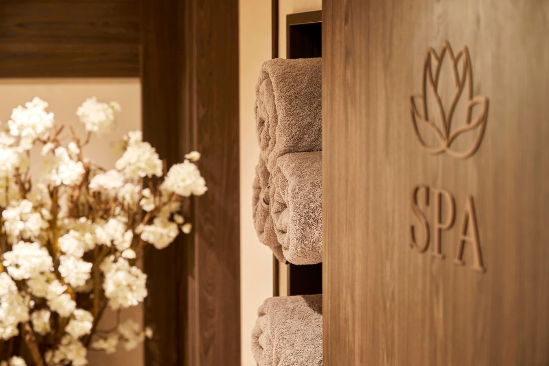 Viva one river cruise ship