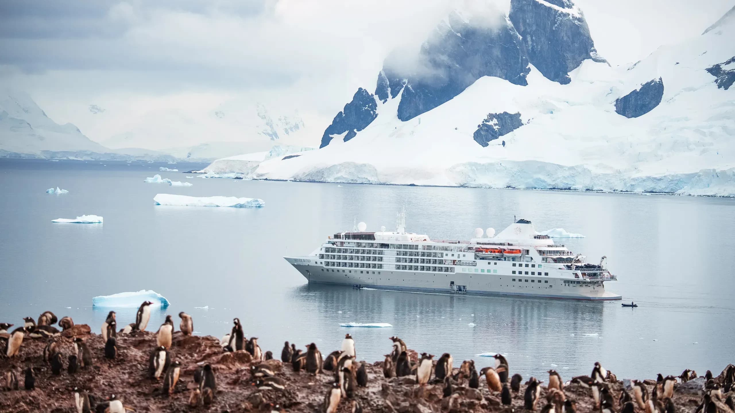Silversea - Silver Wind - Ship 