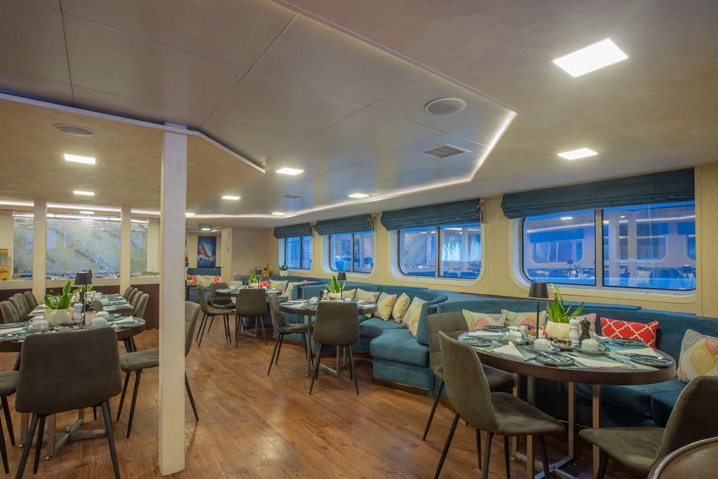 Harmony V Dining 