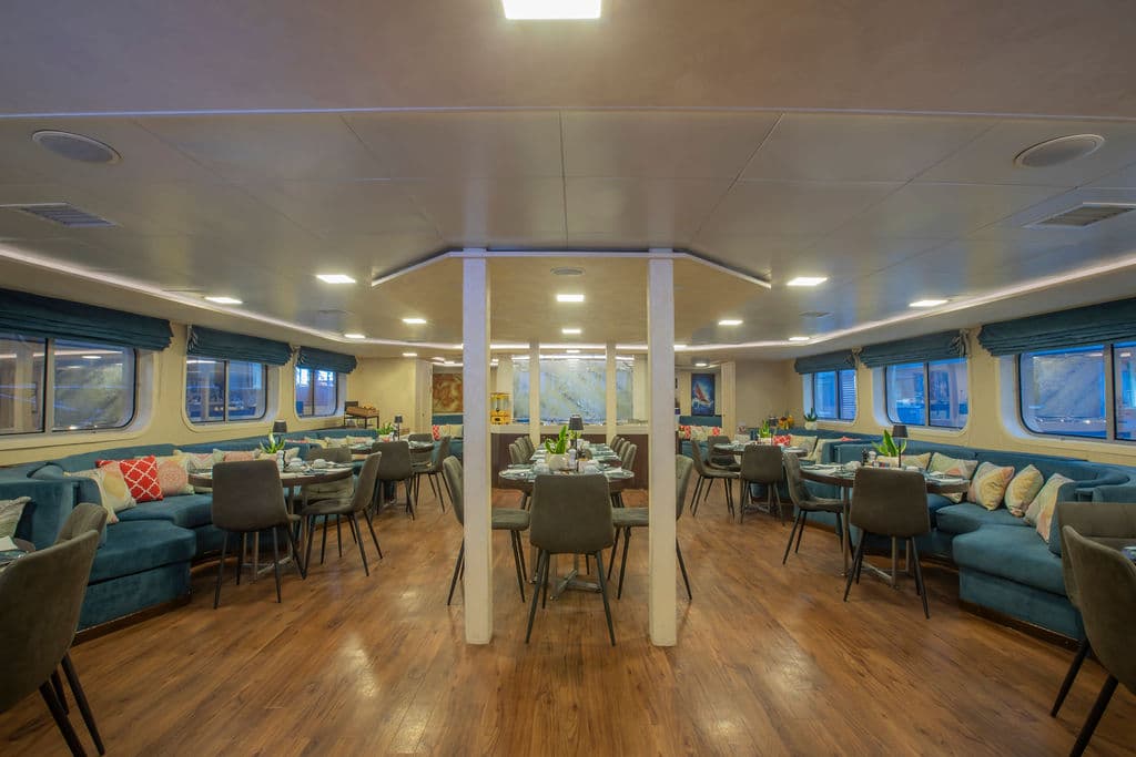Harmony V Dining 