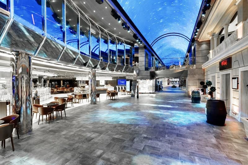 Msc Euribia 