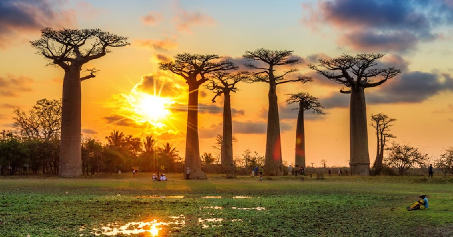 Madagascar for Cruise Travellers