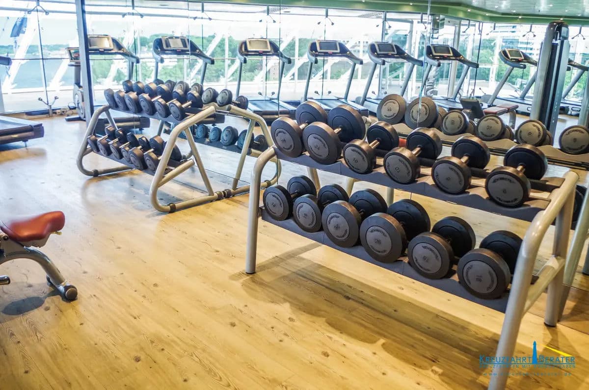 MSC Fantasia Gym 
