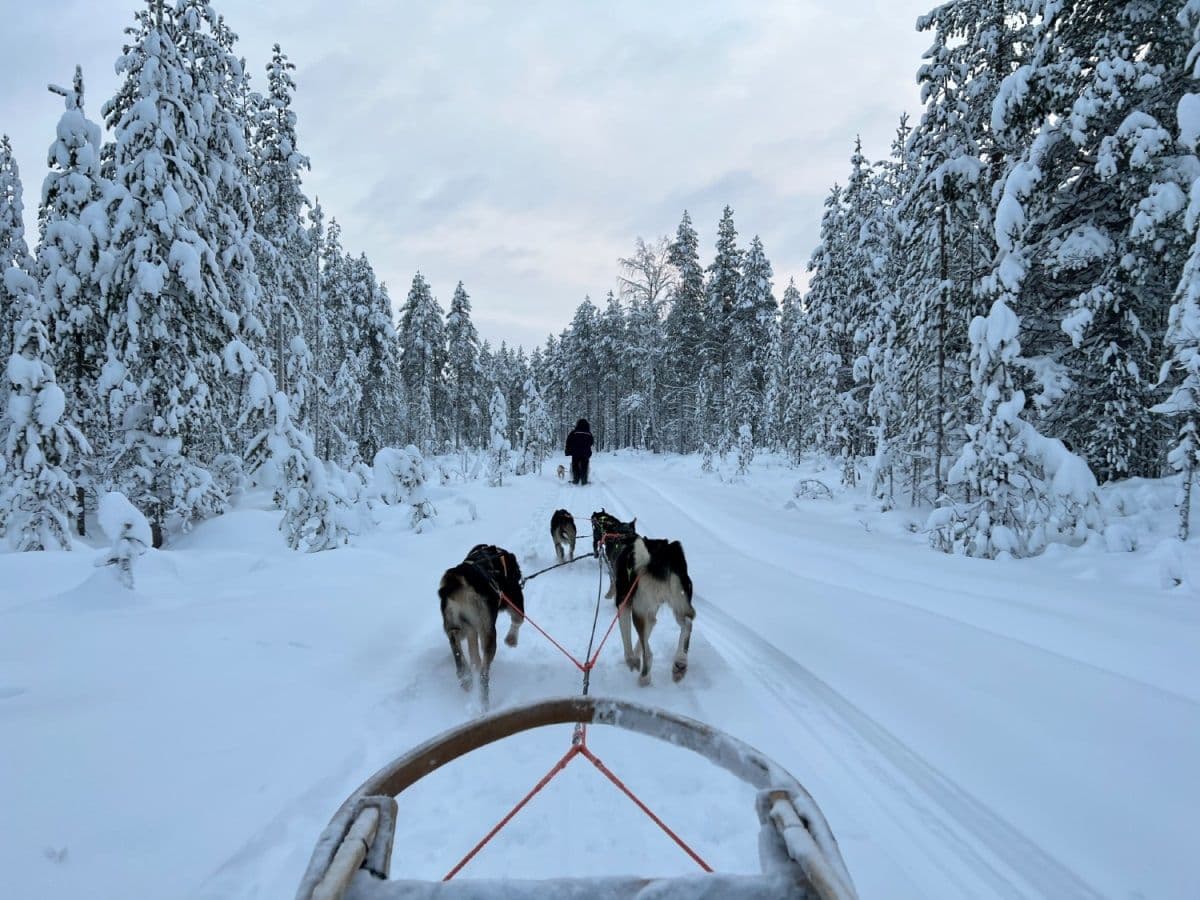 finland  Cruises