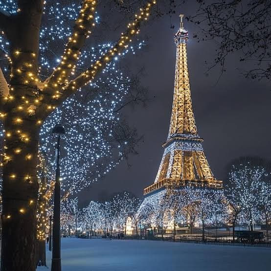 Christmas in Paris-River Cruise