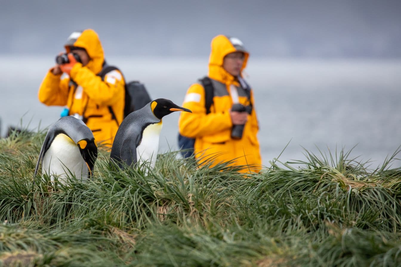 Quark Expeditions Antarctica cruise | Dubai Bookings