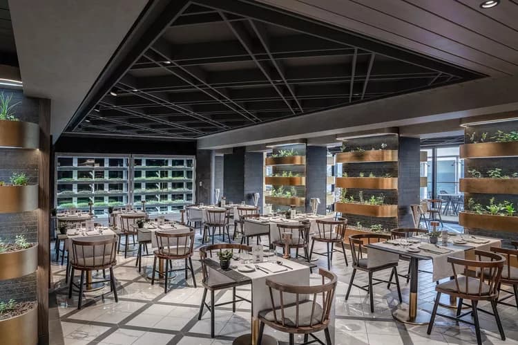 Msc Europa restaurants