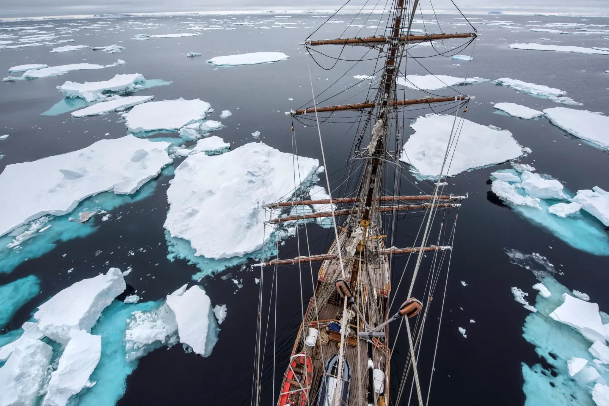The Ultimate Antarctica Cruise Experience