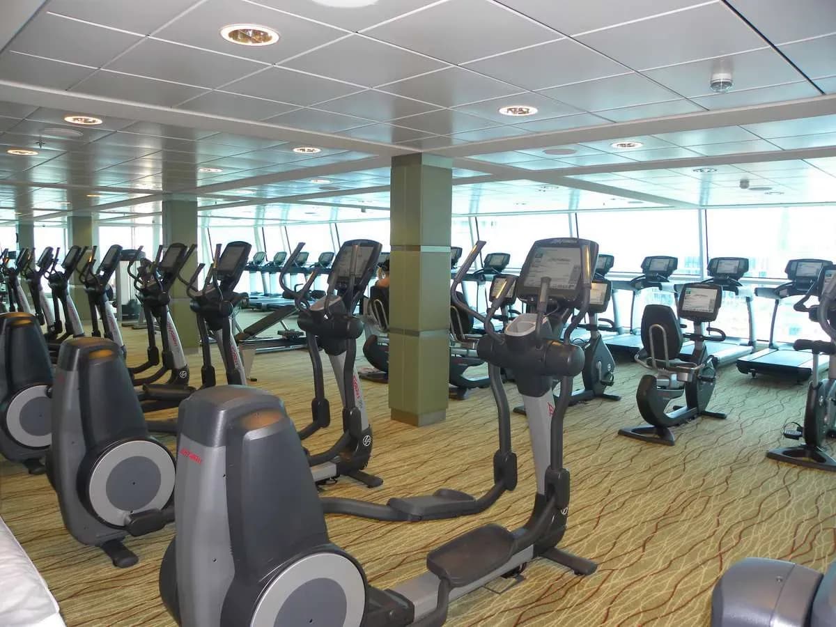 Celebrity-Silhouette gym