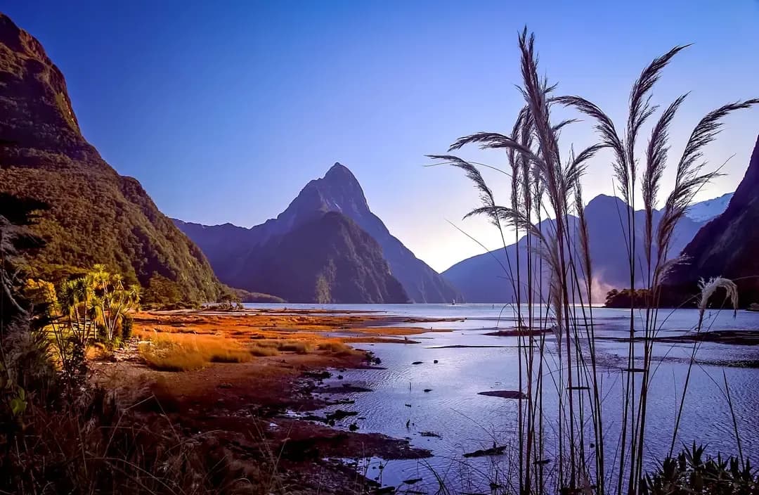 Fiordland National Park , New Zealand