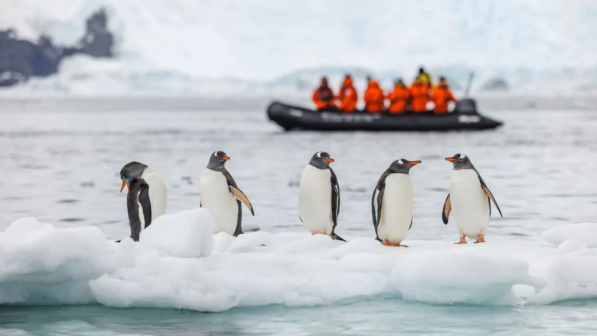 Ice & Altitude: Antarctica Expedition