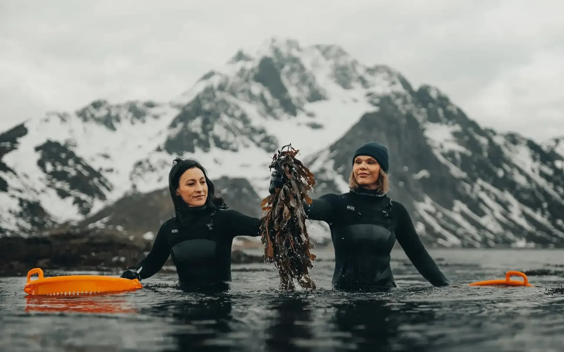Hurtigruten MS Trollfjord cruise activities