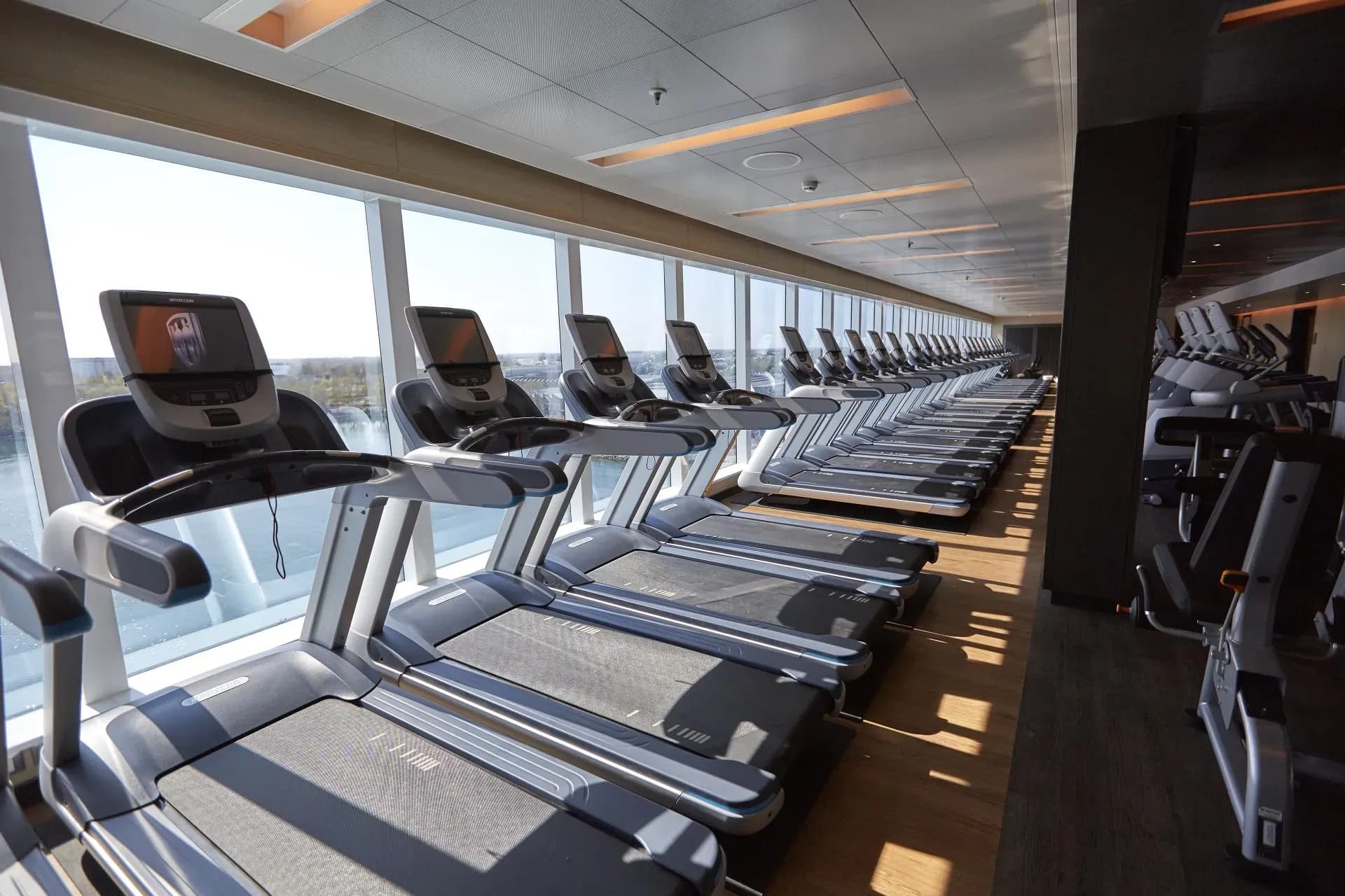 princess cruise ship gym