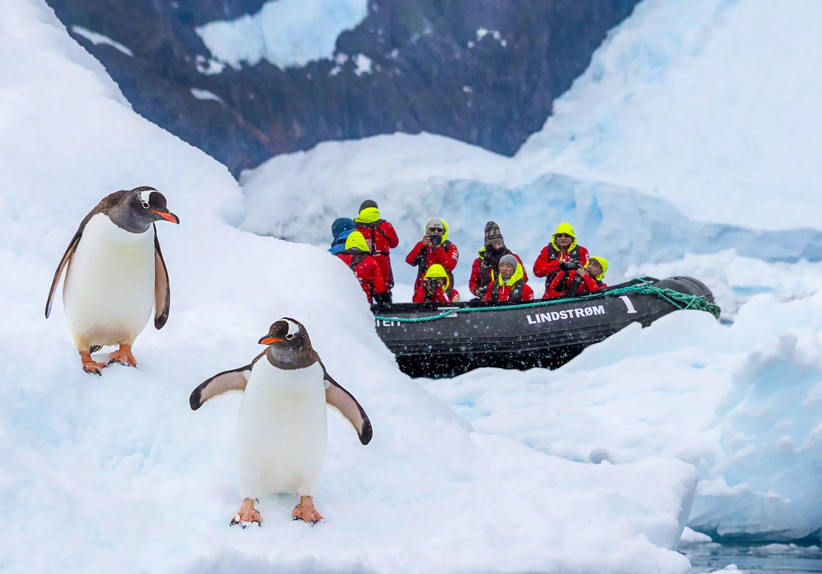HX antarctica expedition