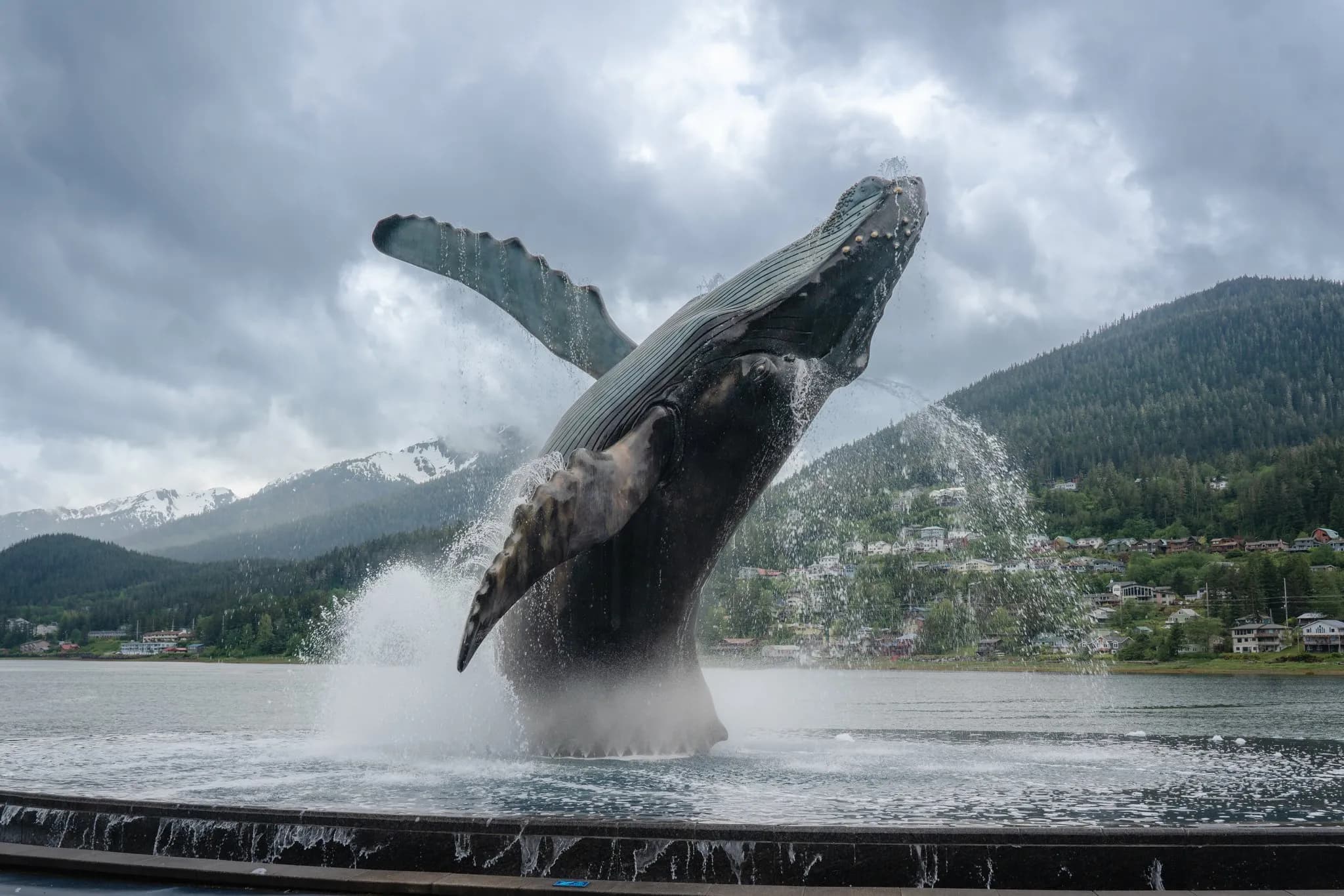 Alaska juneau whale watching on alaska cruise
