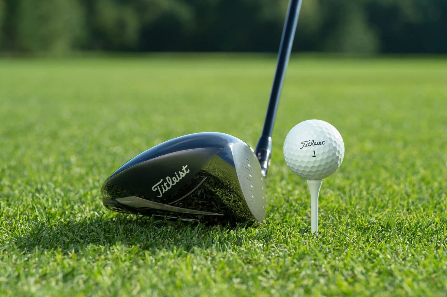 Cruise and Golf Packages - Golf Cruises from Dubai - Book at Cruiseworld