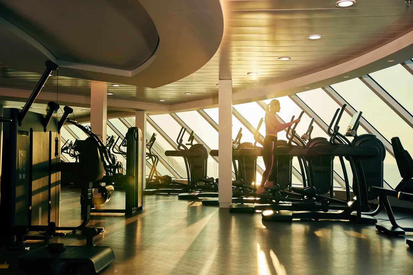 Celebrity ascent gym