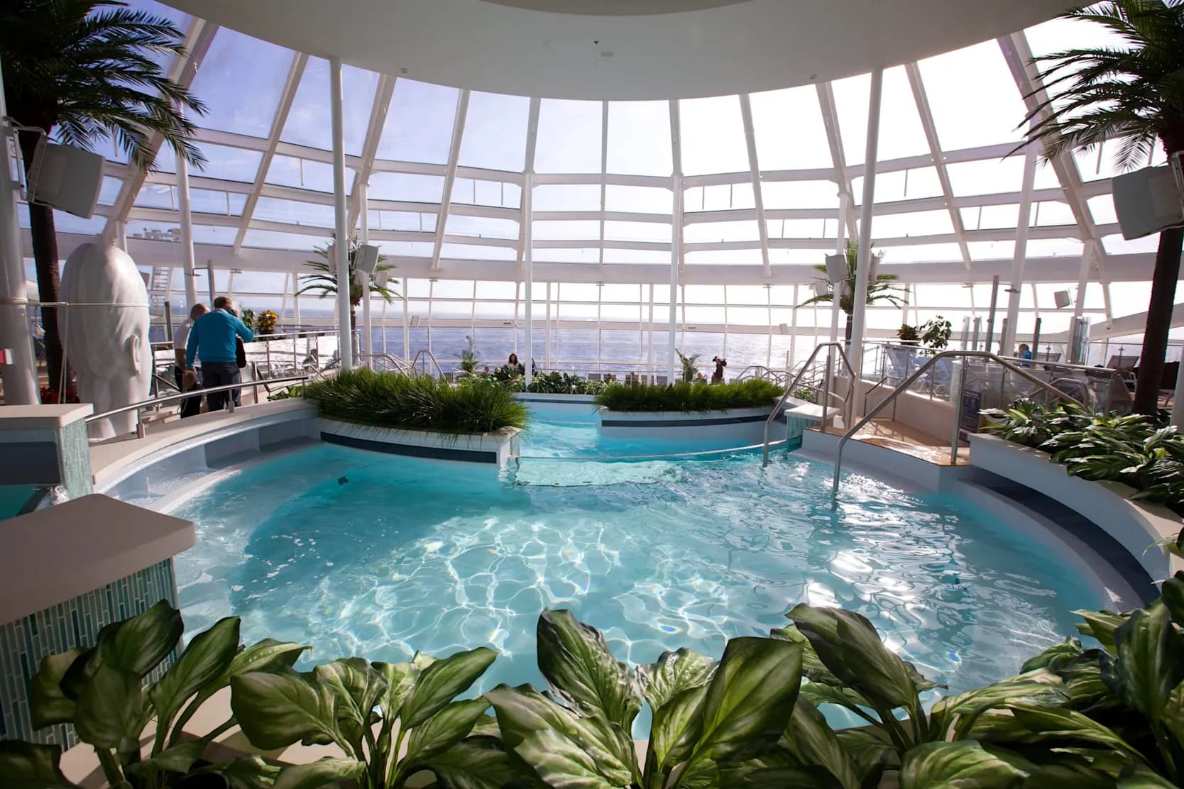 ovation of the seas