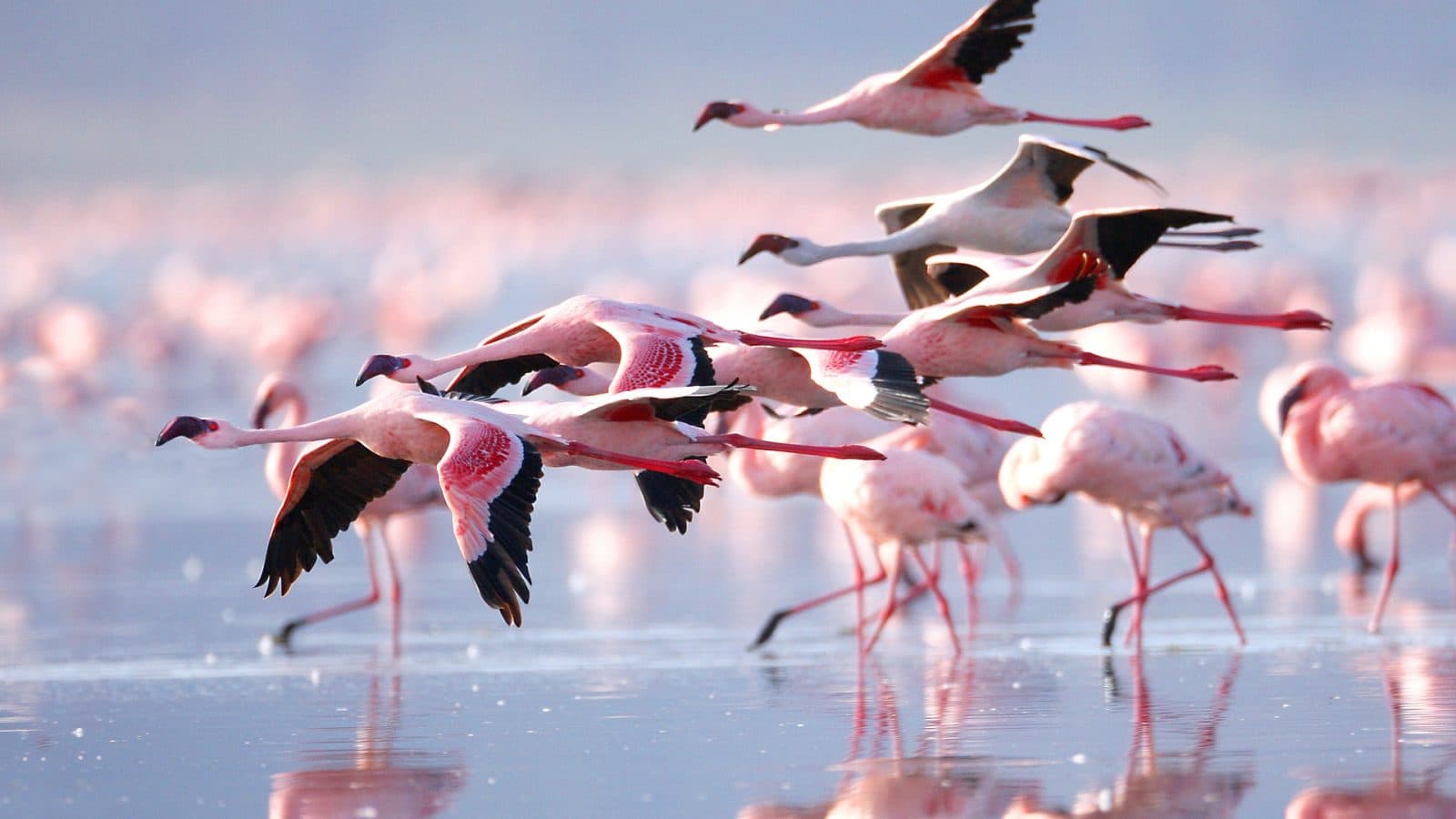 Birdwatching at Richards Bay Game Reserve South Africa