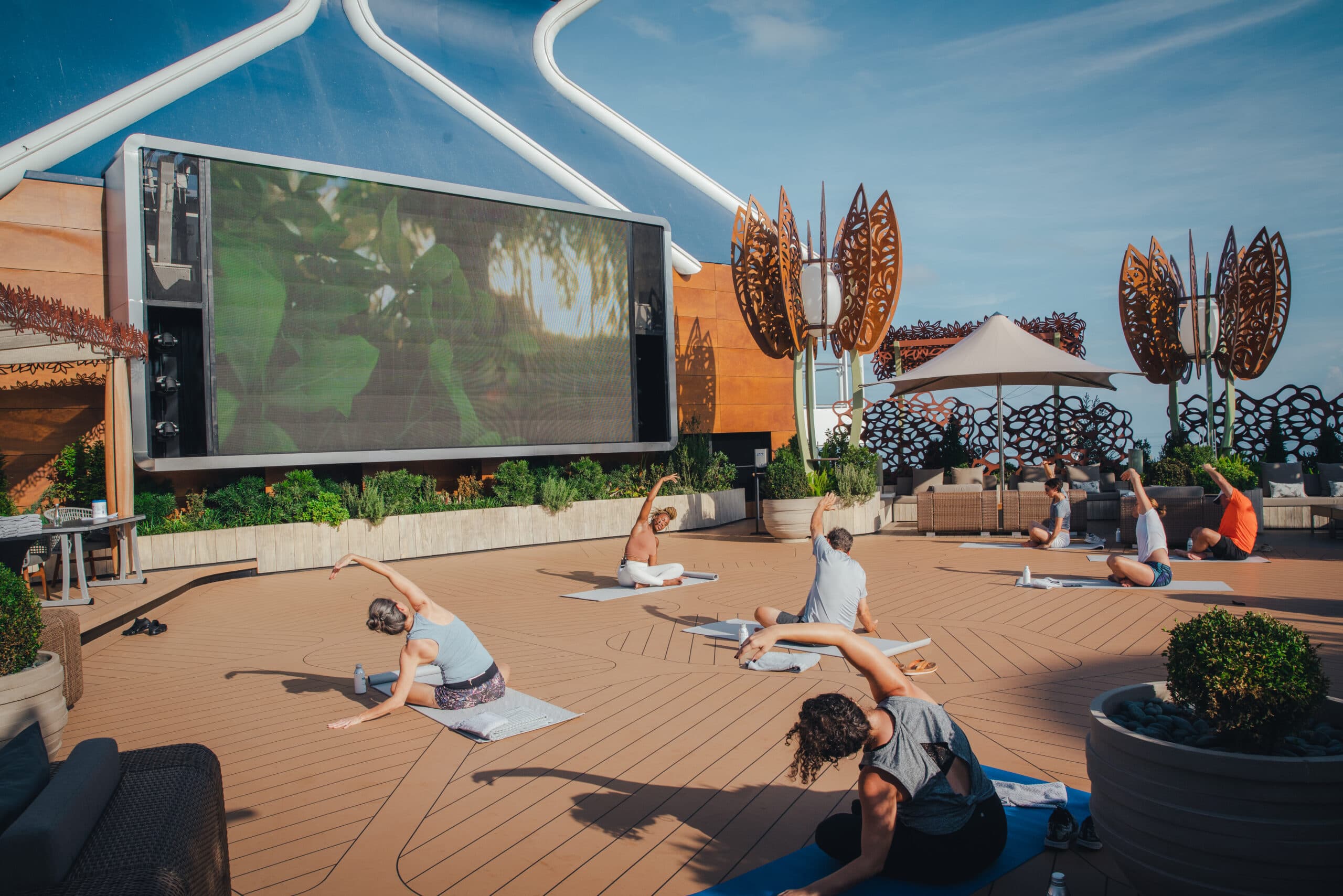 Celebrity ascent roof top