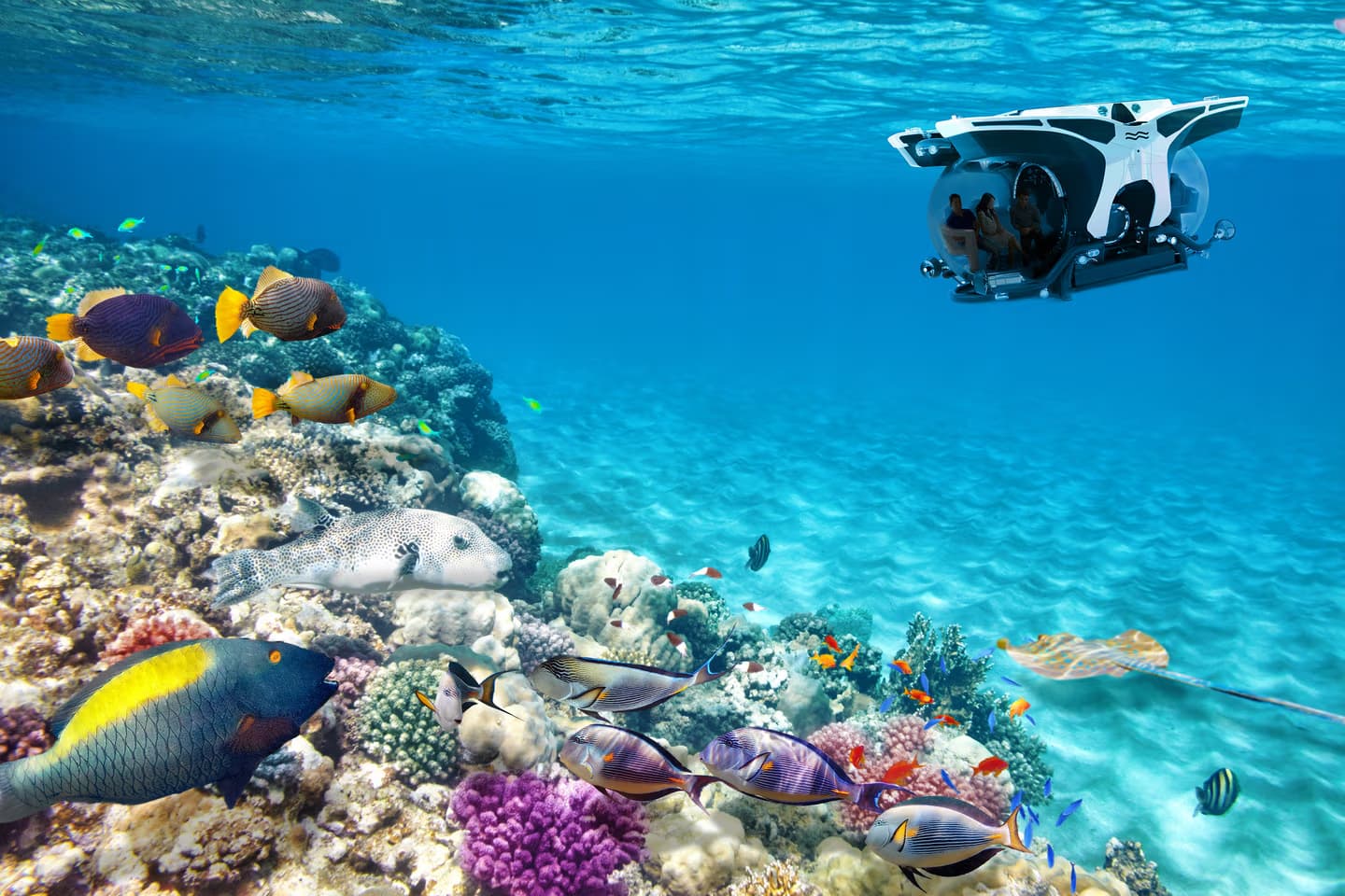 Scenic Eclipse amenities