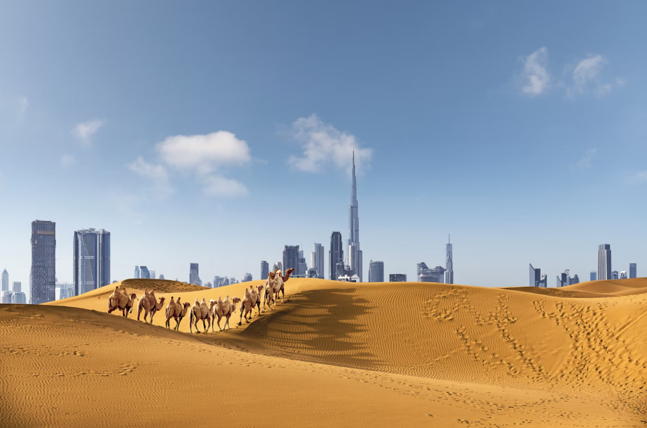 Dubai Skyline - Desert