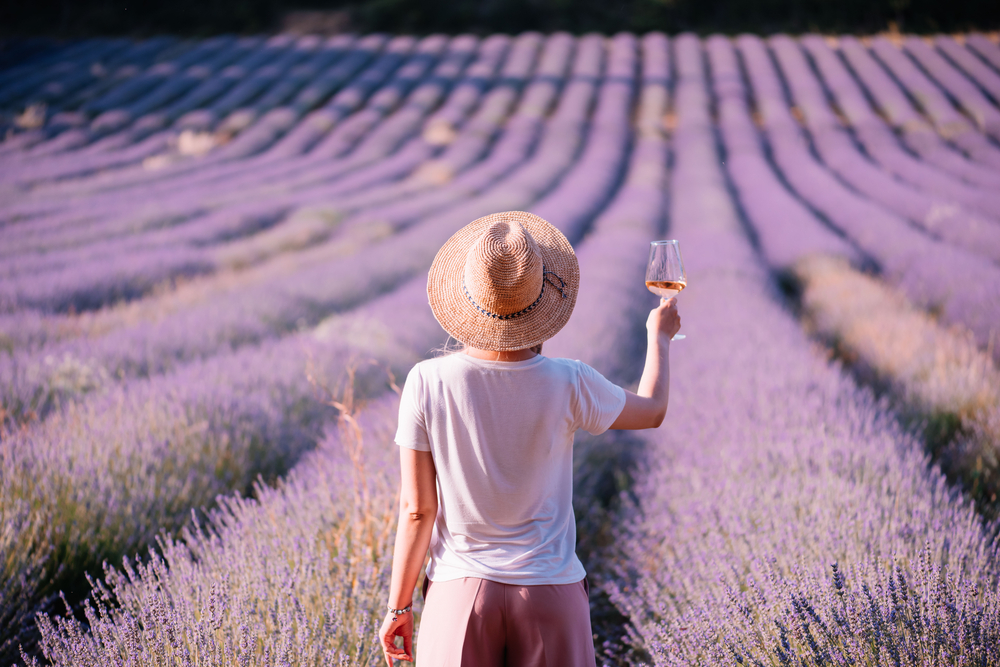france Lavender field